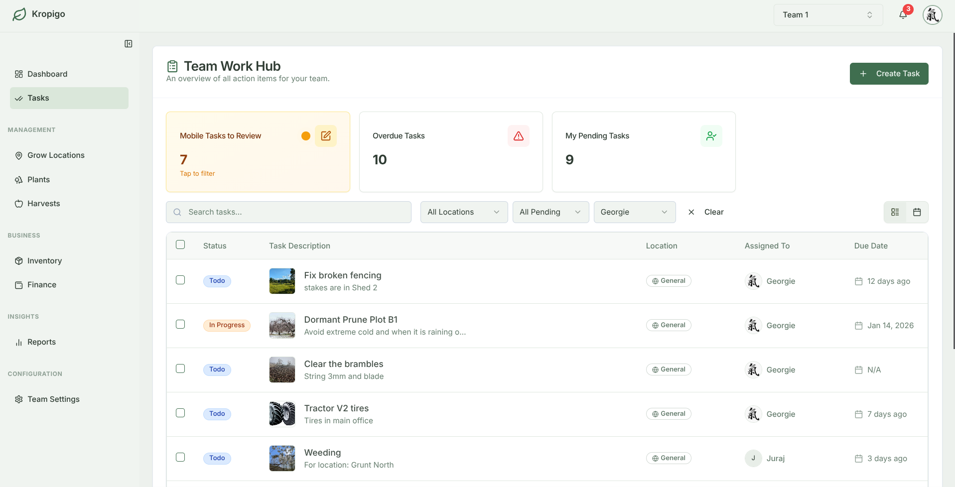 Organize the Team Without the Whiteboard